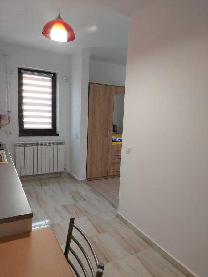 Appartamento Bya Brown Valea Lupului  Esterno foto